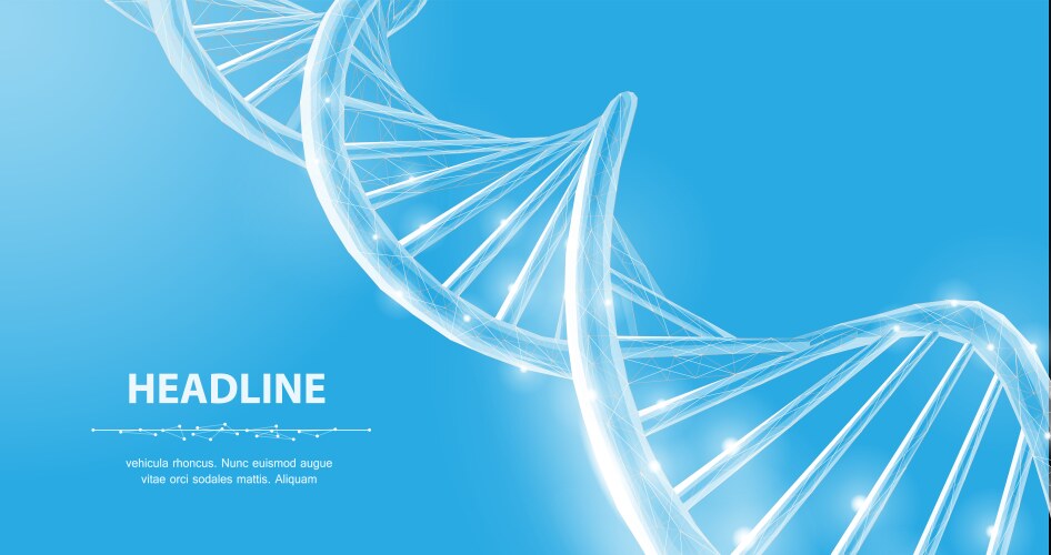 Dna abstract 3d polygonal wireframe molecule vector image