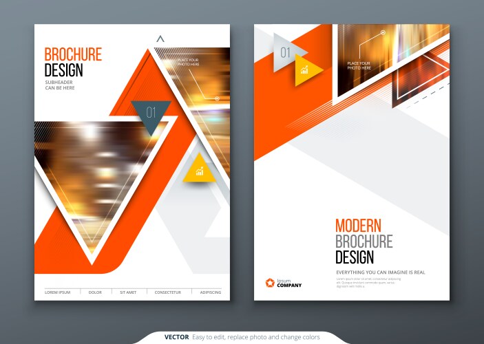 brochure template layout design corporate vector image