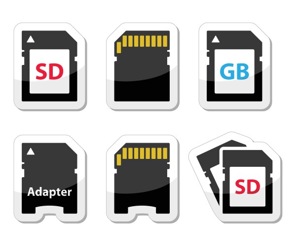 Sd memory card adapter icons set vector image
