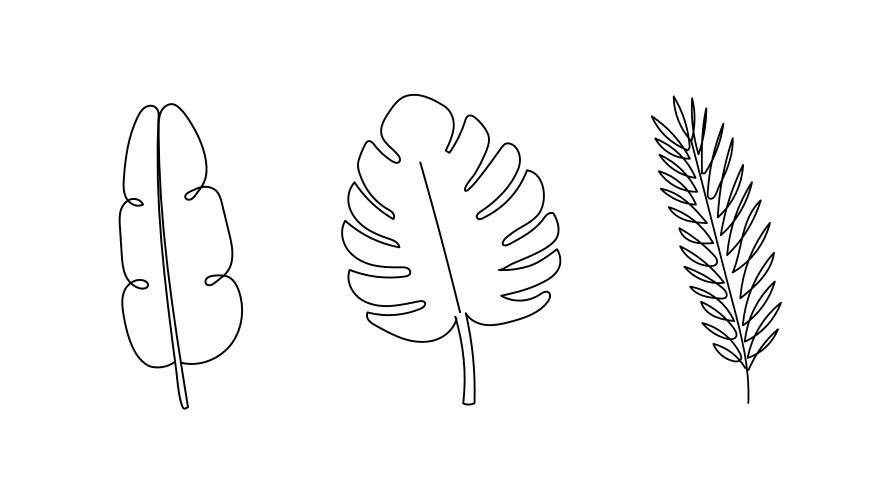 Leaf line art Royalty Free Vector Image - VectorStock