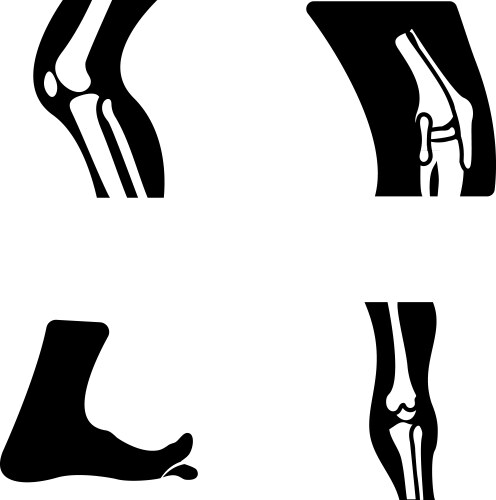 Human bones solid set Royalty Free Vector Image