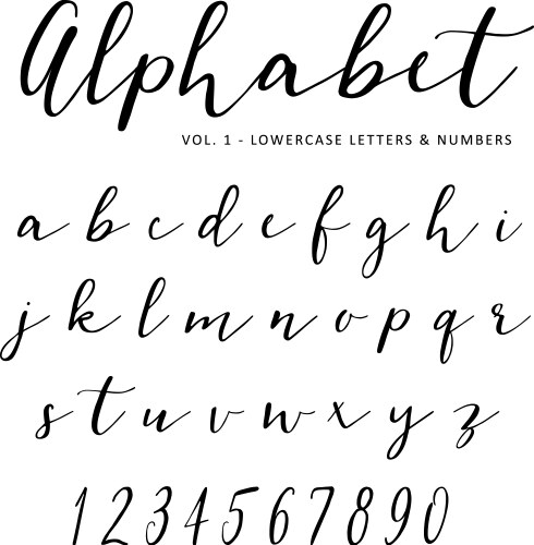 Elegant Hand Lettered Script Font vector image
