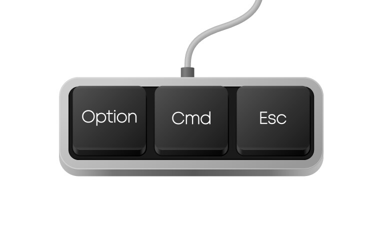 option cmd esc button combination computer vector