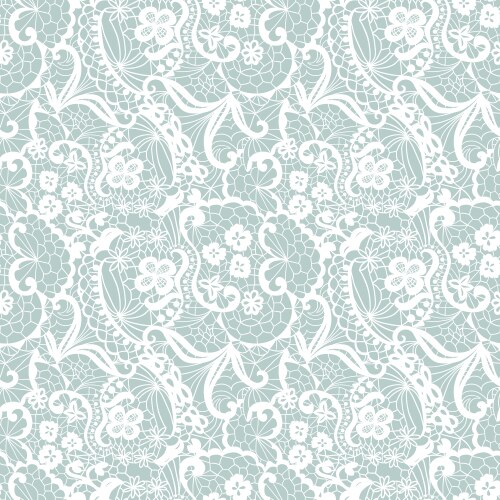 Seamless white lace Royalty Free Vector Image - VectorStock