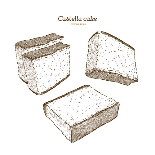 Japanese sponge cake - castella hand draw sketch Vector Image