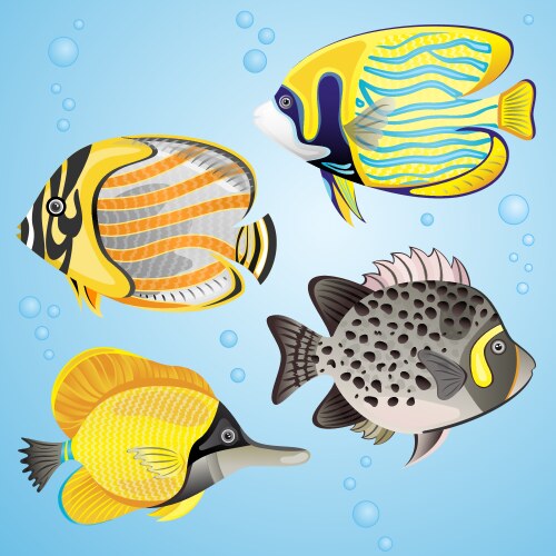 Collection of tropical fish Royalty Free Vector Image