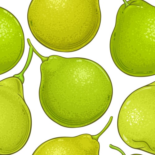 Bergamot frame Royalty Free Vector Image - VectorStock