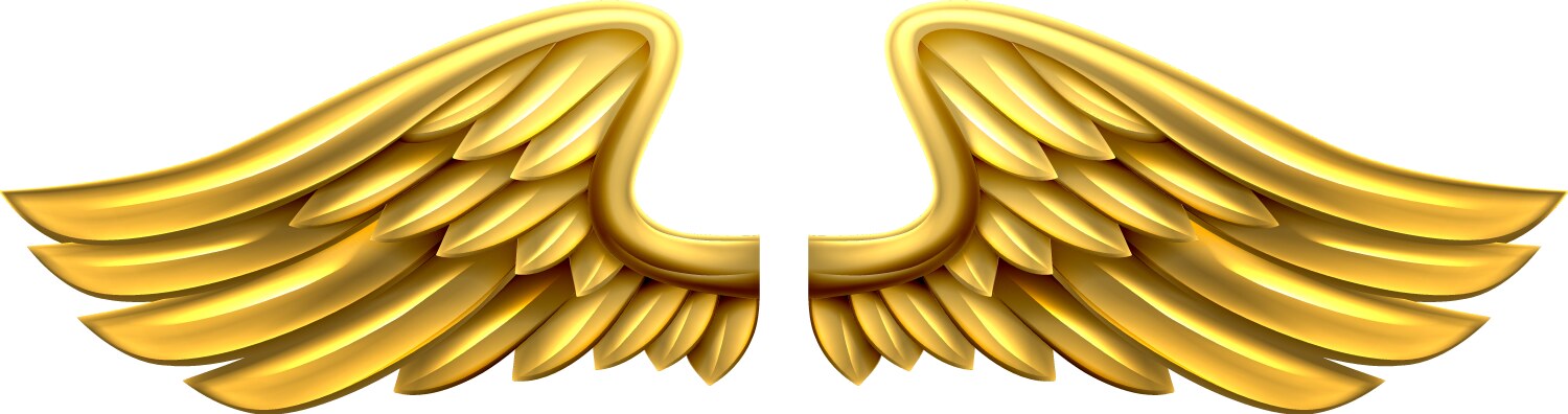 Angel wings with nimbus Royalty Free Vector Image