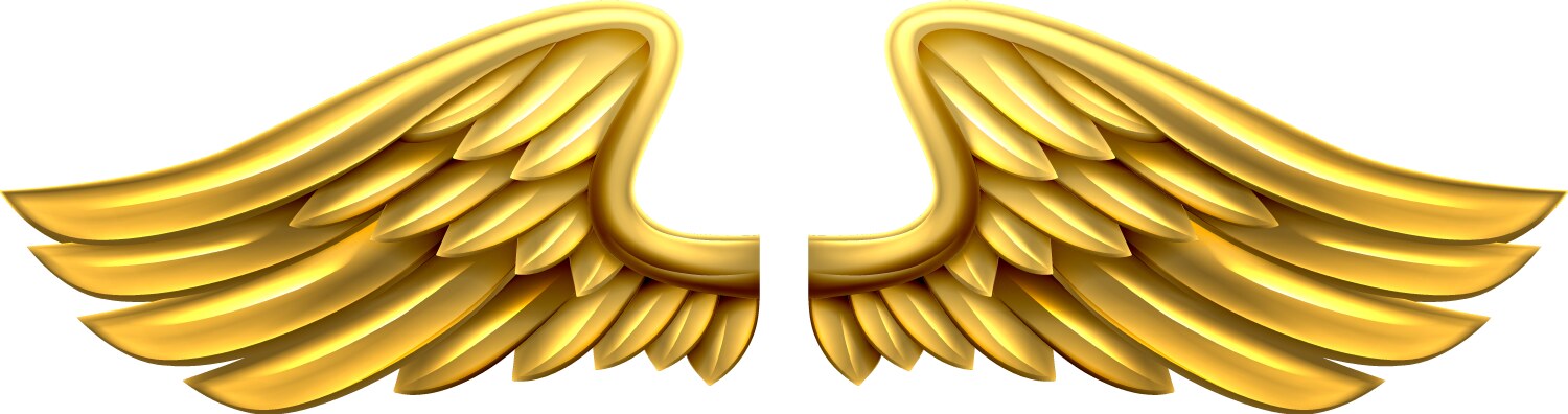 metal gold wings vector