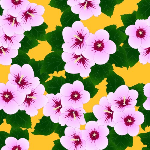 Pink hibiscus syriacus - rose of sharon on yellow Vector Image