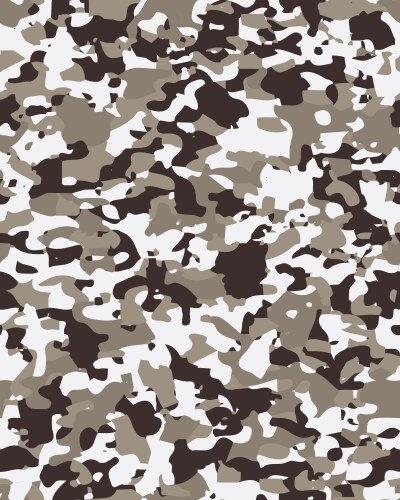 Camouflage seamless pattern Royalty Free Vector Image