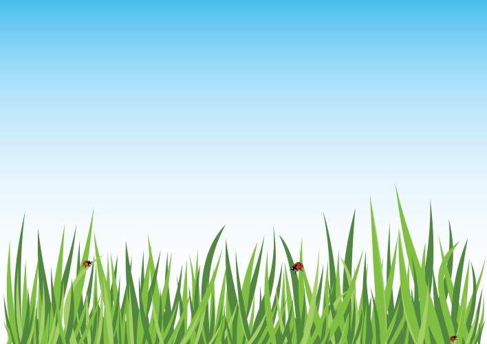 Green grass and blue sky Royalty Free Vector Image