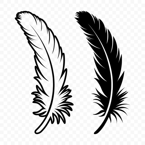 Black and white fluffy feather logo icons Vector Image