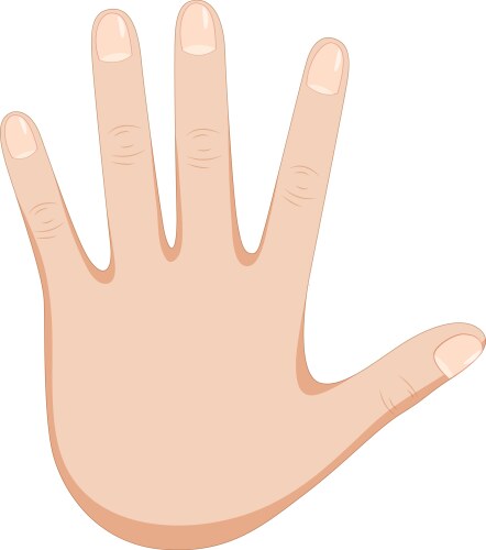 Human body parts Royalty Free Vector Image - VectorStock
