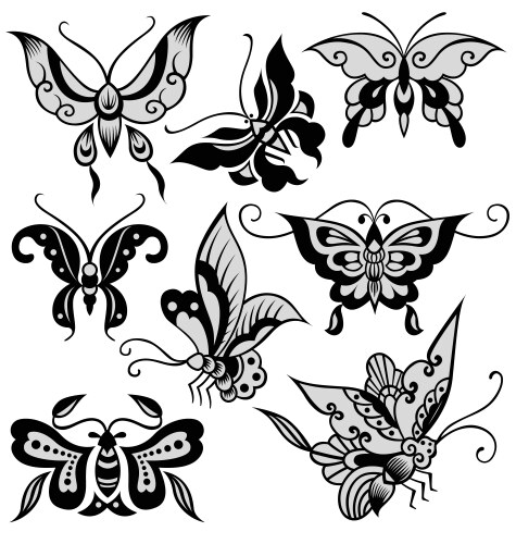 Butterfly design Vector Image