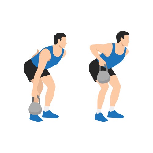 Man doing seated low cable back rows exercise Vector Image