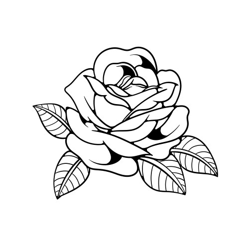 Elegant Rose Flower Outline Vector Image