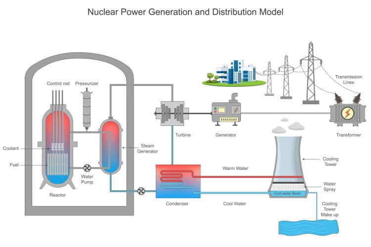 Nuclear Power Generation Explained – Royalty-Free Vector | VectorStock