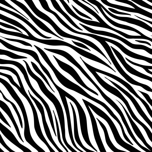 Zebra skin pattern animal print black and white Vector Image