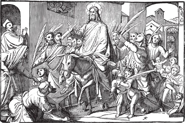 Jesus comes to jerusalem on donkey triumphal Vector Image