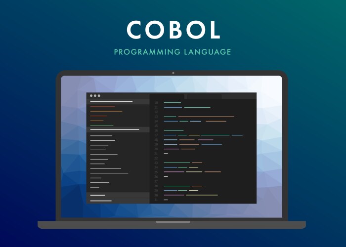Cobol programming language vector image