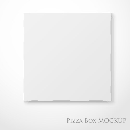 Cardboard empty pizza box mock up package vector image