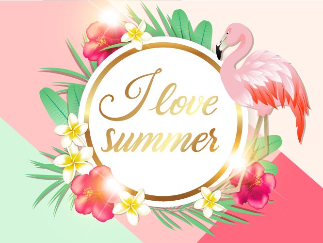 Tropical Summer Background with Flamingo Vector Image