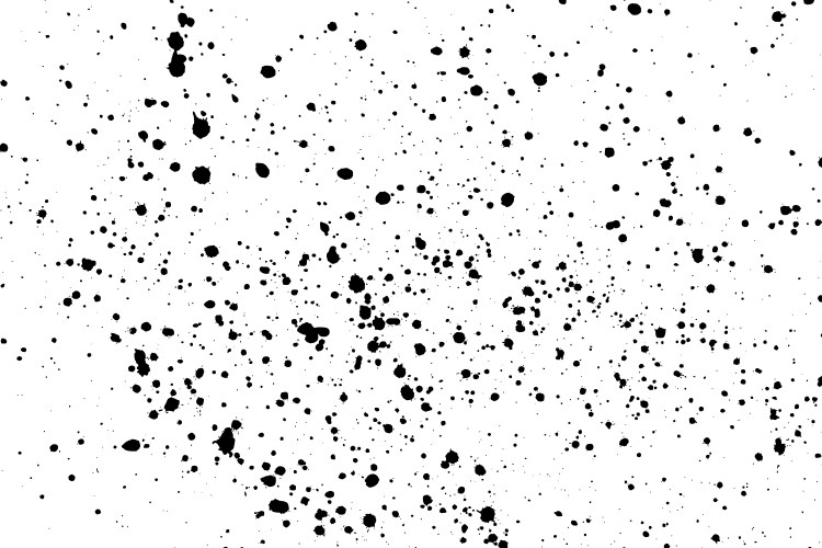 Black blobs isolated on white vector image