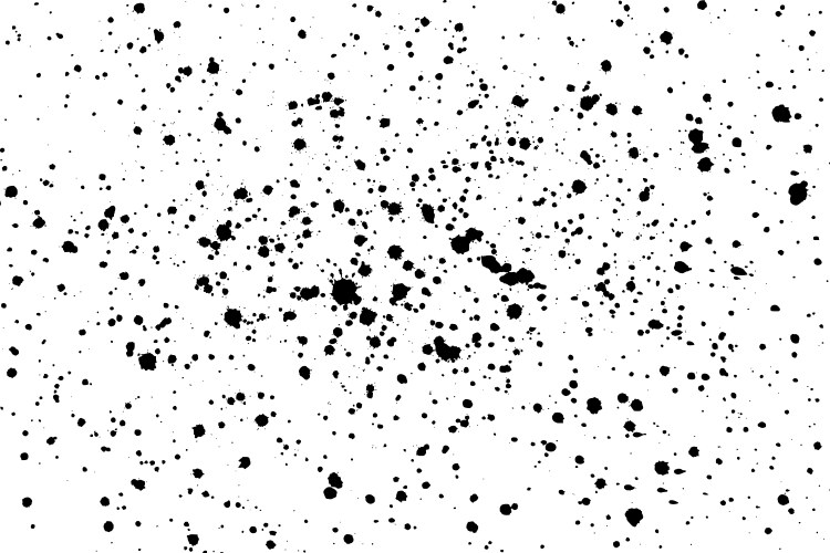 Black blobs isolated on white vector image