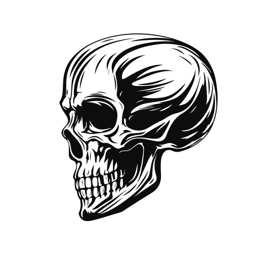 Black and White Skull Emblem Vector Image