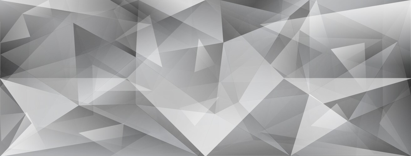 Background abstract polygon black and white Vector Image