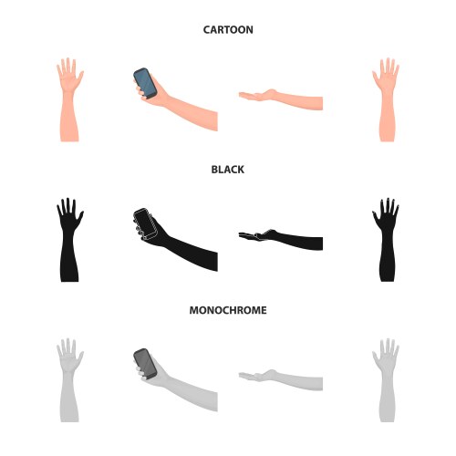 Design and animated icon set vector image