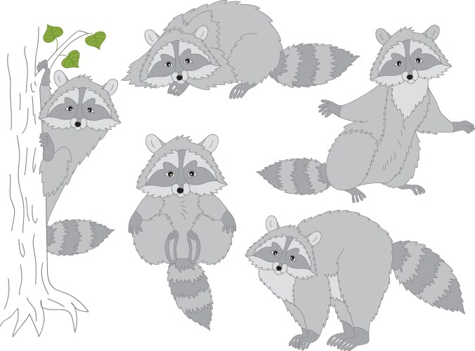 Cute cartoon raccoon set funny raccoons Royalty Free Vector