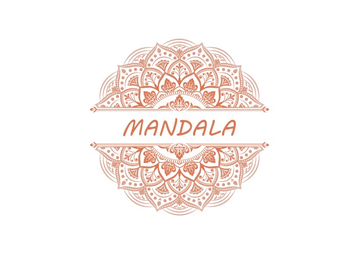 mandala pattern design vector image