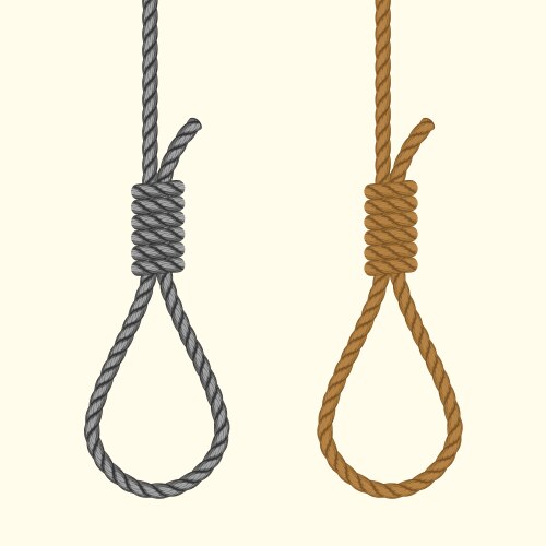 Noose and Hanging Knot Vector Image