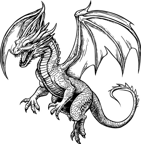 Dragon Line Art Illustration Vector Image