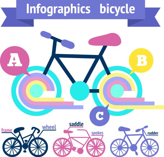 Bicycle infographic elements vector image