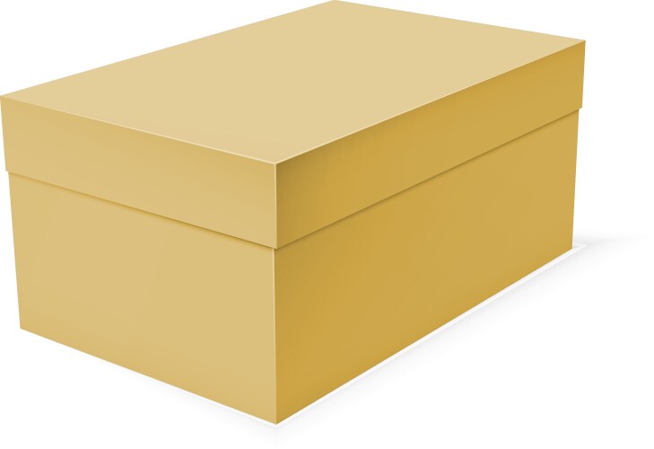 Blank paper or cardboard box template Vector Image