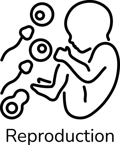 Unborn Vector Images (over 2,200)