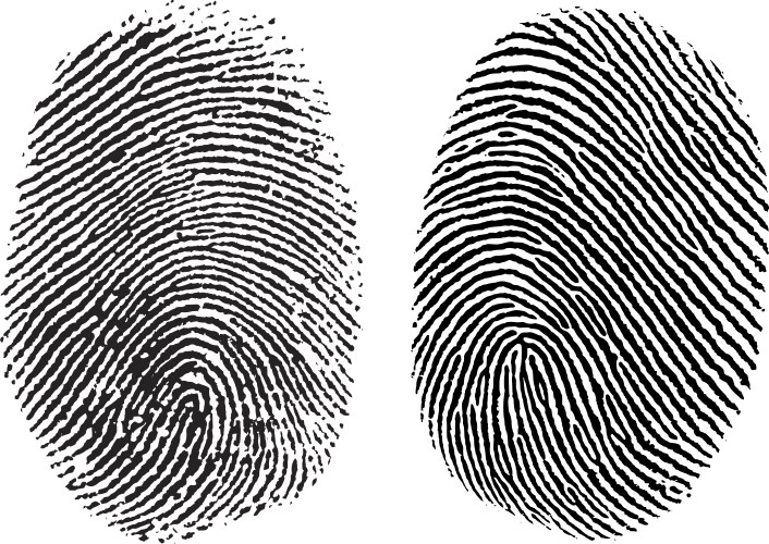 Fingers Vector Images (over 340,000)