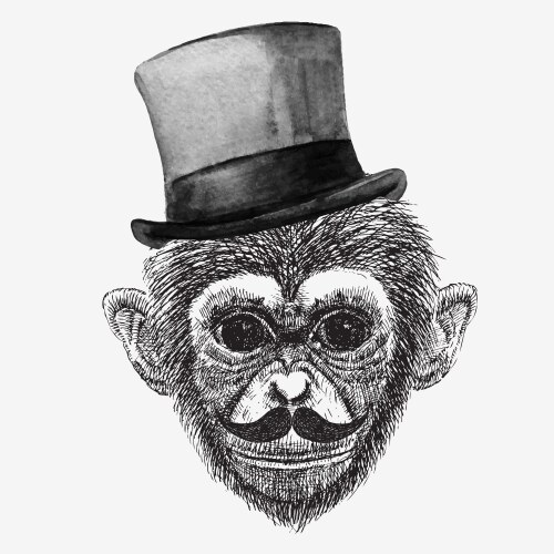 Monkey skater hipster Royalty Free Vector Image