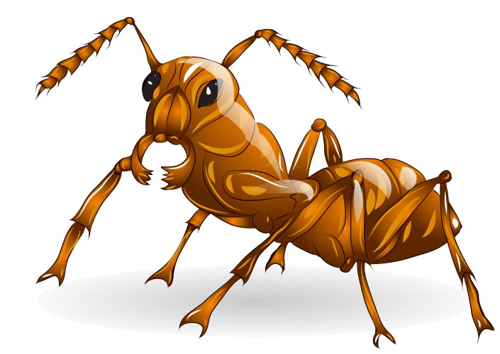 Ant Vector Images (over 18,000)