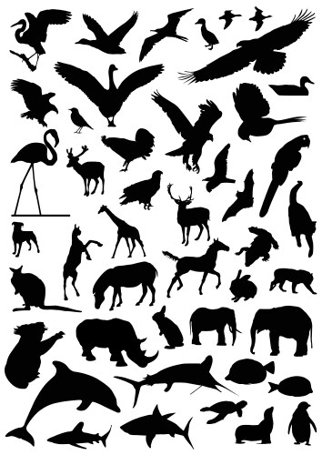 Cartoon animals collection Royalty Free Vector Image