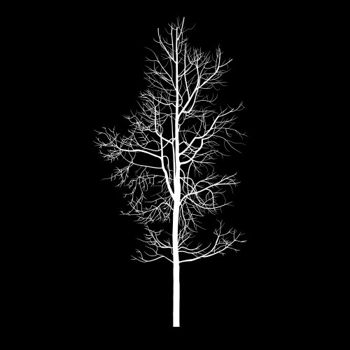Winter Tree with Dead Branches vector image