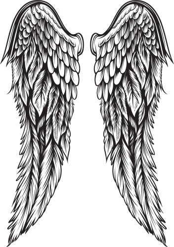 Tattoo Style Wing Graphic Vector Image