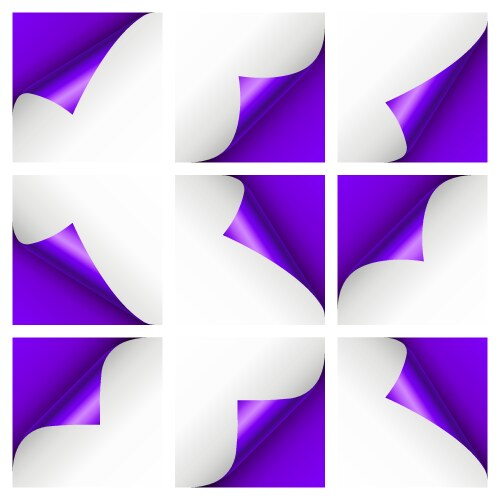 set of violet paper curls curled page corner vector image