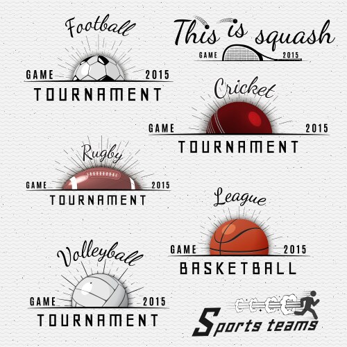 Sports Team Elements Vector Image