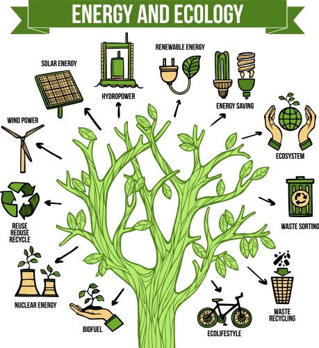 Ecosystem Infographic Vector Images (over 2,100)