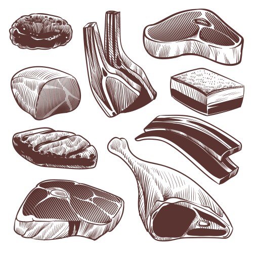 Meat Drawing Vector Images (over 50,000)