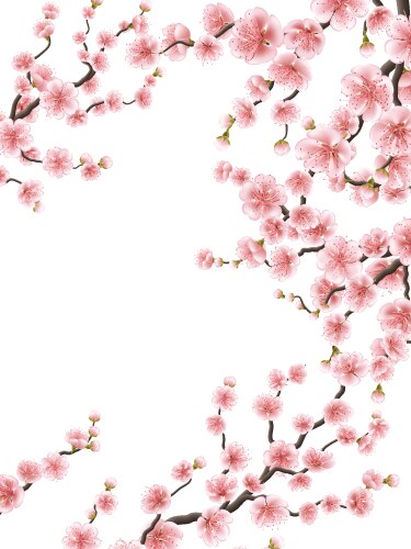 Sakura Blossom Background - Pink Flowers Vector Image